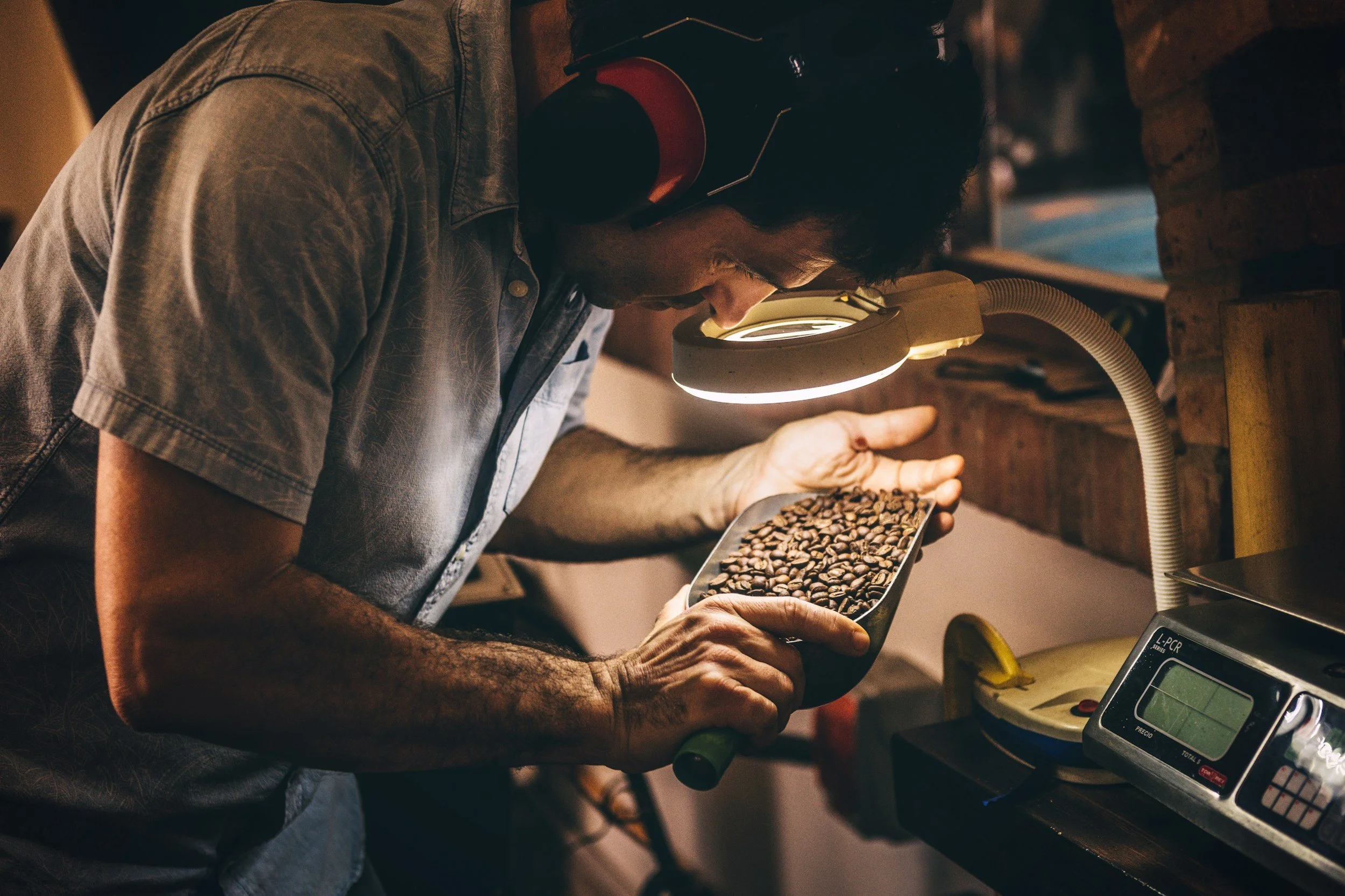 Man inspecting coffee beans under a magnifying lamp in a coffee roasting or processing facility.